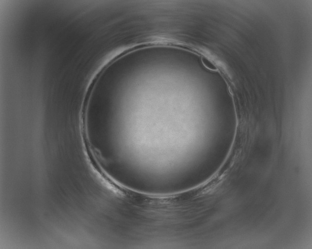 X0000074291239200608251336