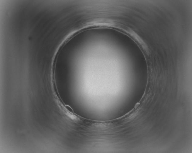 X0000074291240200608251336