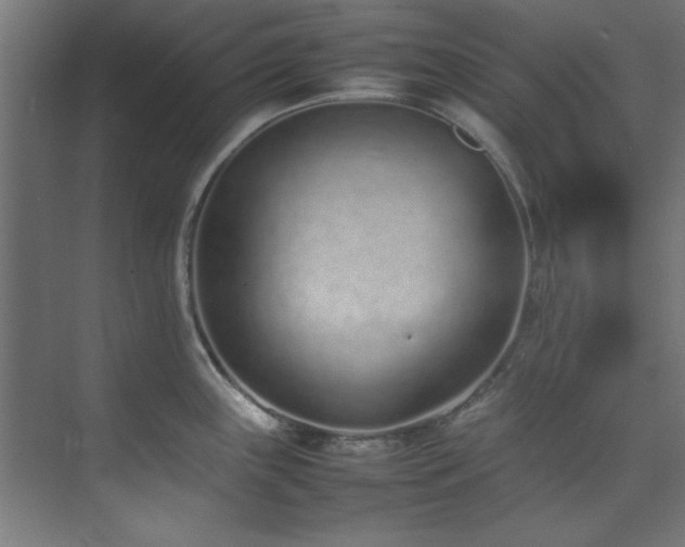 X0000074291243200608251336