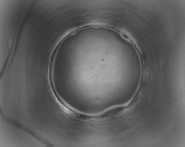 X0000074291245200608251336