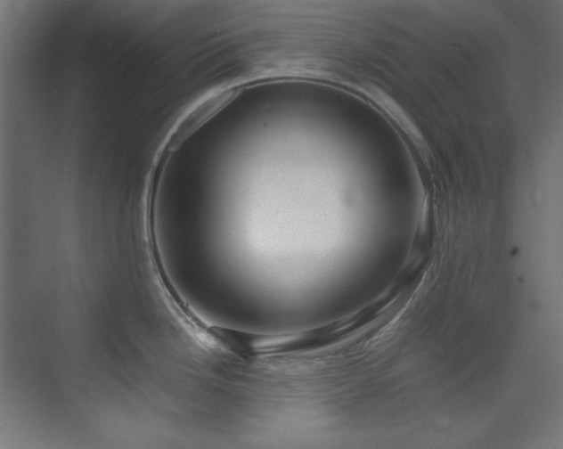 X0000074291246200608251336