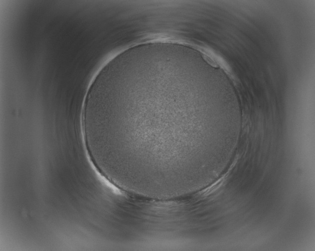 X0000074291247200608251336