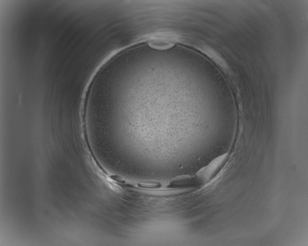 X0000074291248200608251336