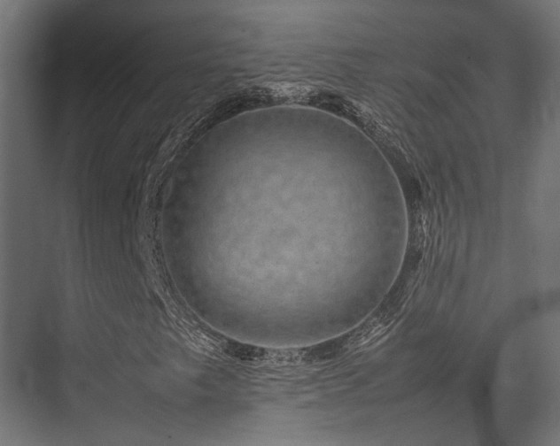 X0000074291249200608251335