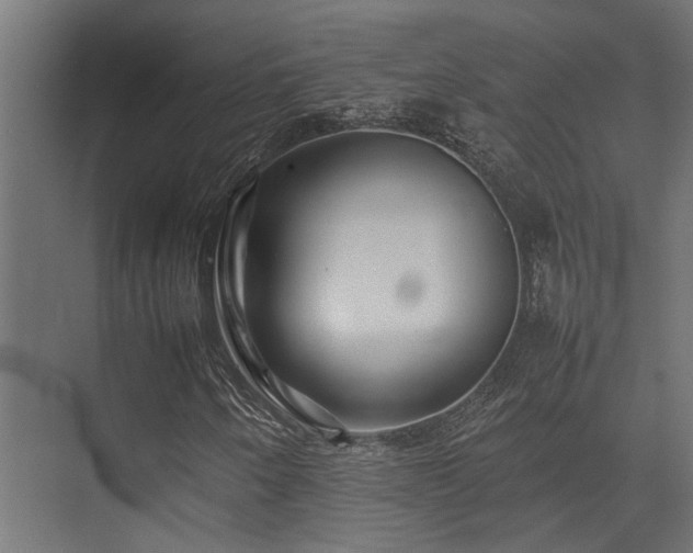 X0000074291250200608251335