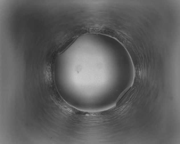 X0000074291252200608251335