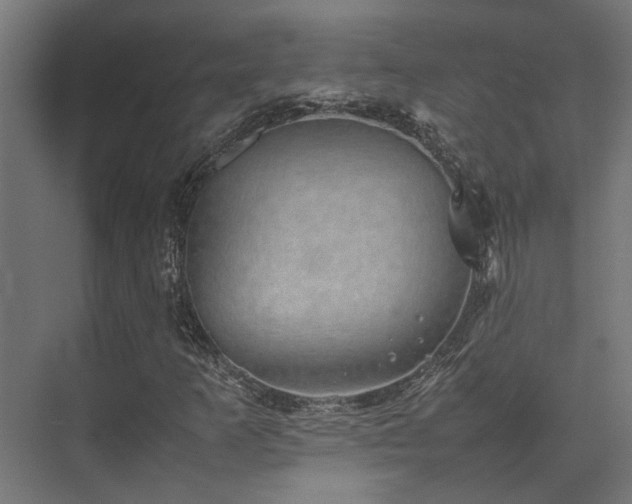 X0000074291253200608251335