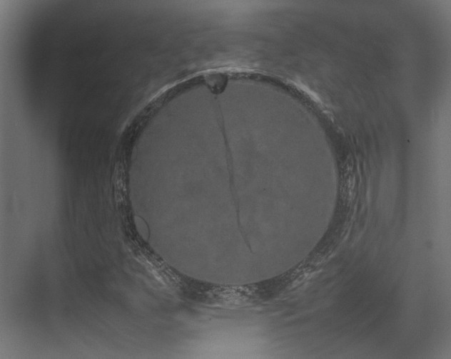 X0000074291255200608251335