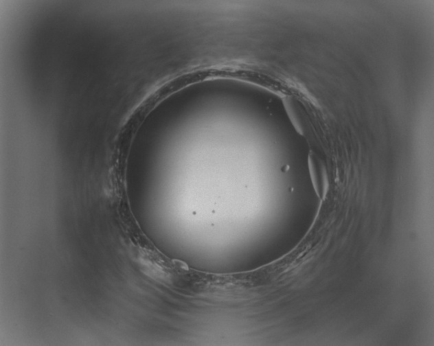 X0000074291256200608251335