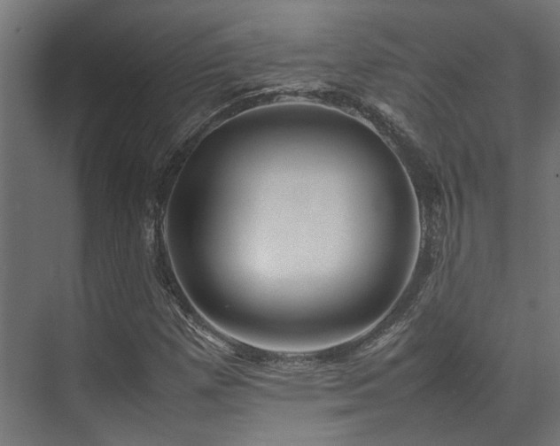 X0000074291257200608251335