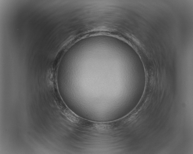 X0000074291258200608251335