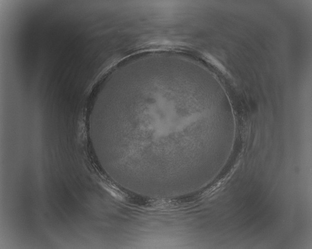 X0000074291259200608251335