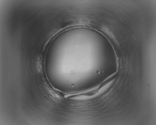 X0000074291260200608251335