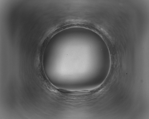 X0000074291261200608251335