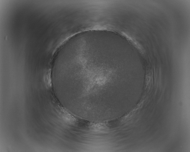 X0000074291262200608251335