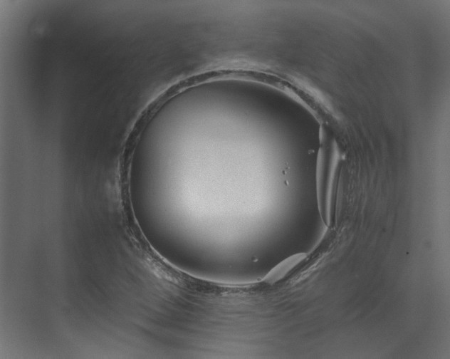 X0000074291264200608251335