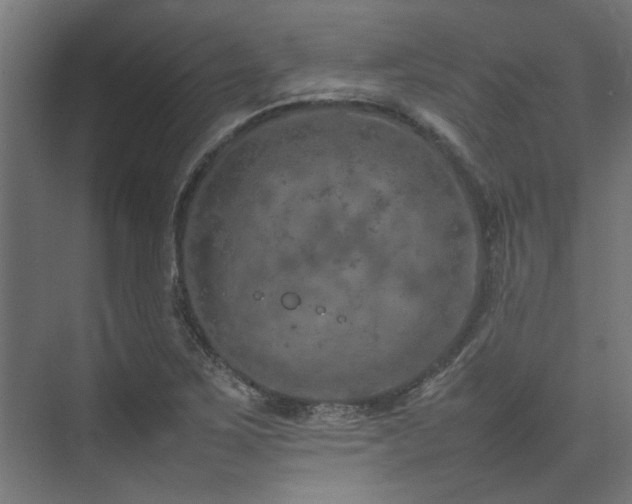 X0000074291267200608251335