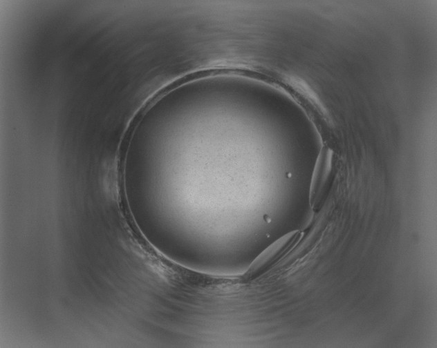 X0000074291268200608251335