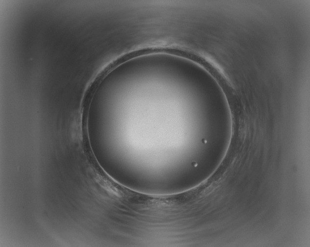 X0000074291270200608251335