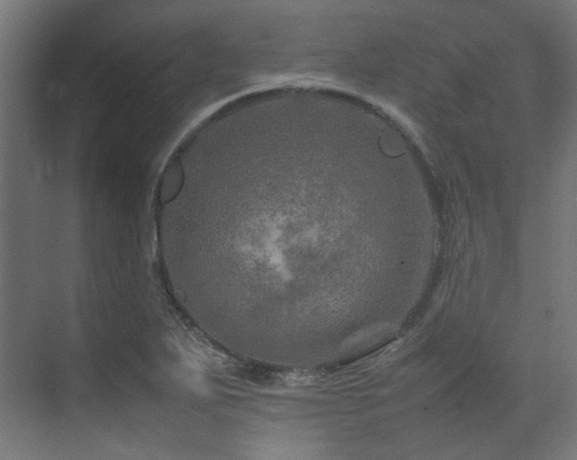 X0000074291271200608251335