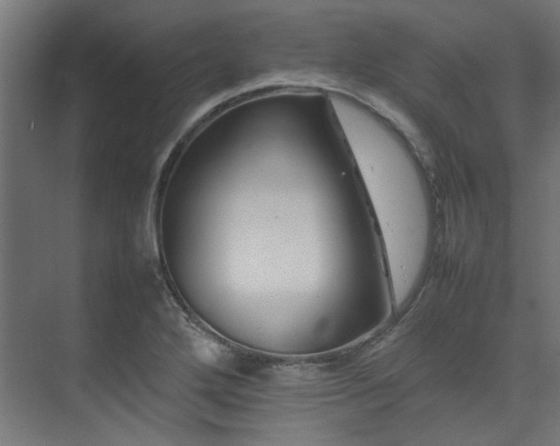 X0000074291272200608251335