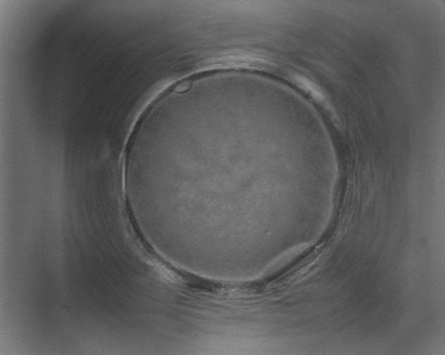 X0000074291275200608251335