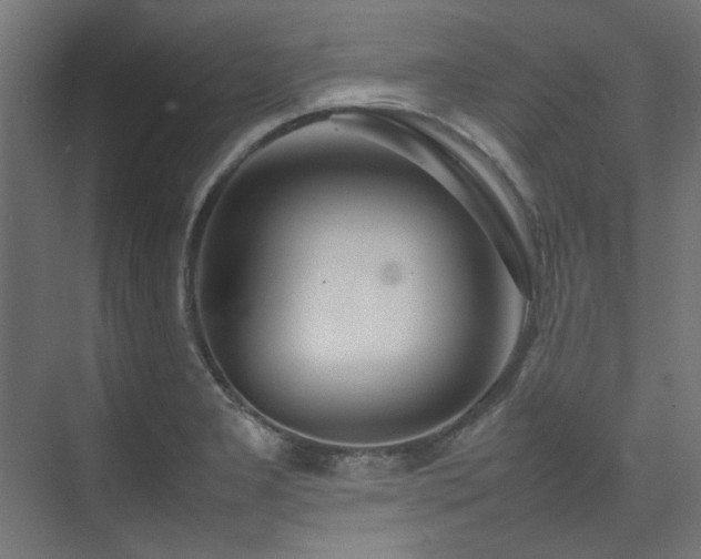 X0000074291277200608251335