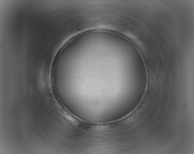 X0000074291278200608251335