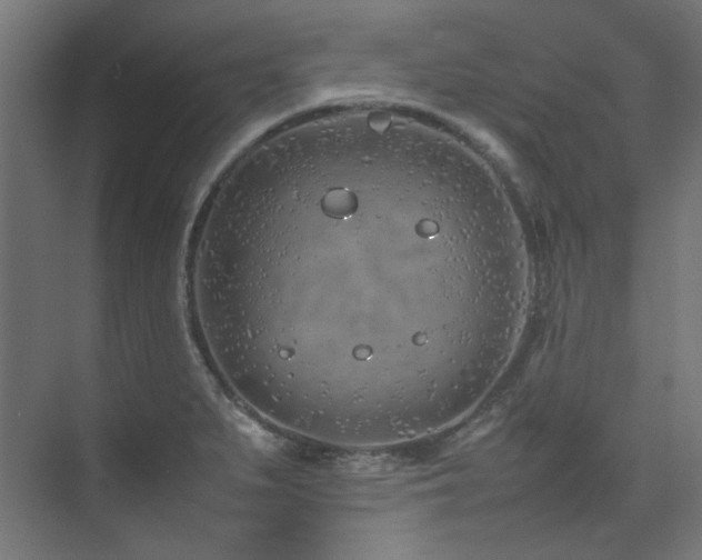 X0000074291279200608251335