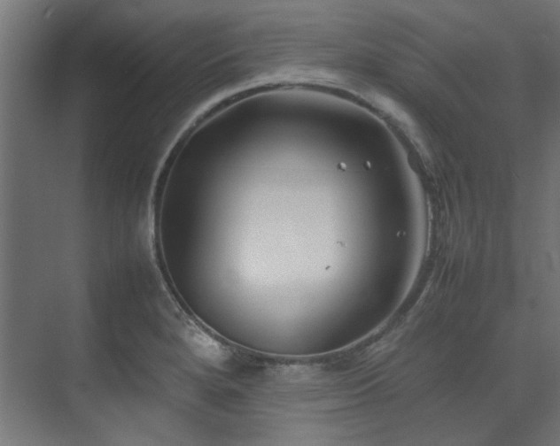 X0000074291280200608251335