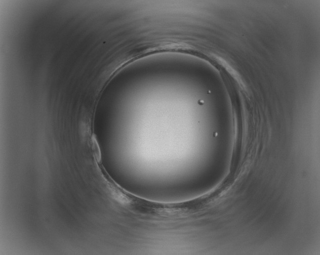 X0000074291281200608251335