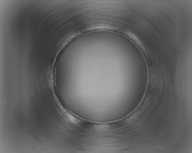 X0000074291282200608251335