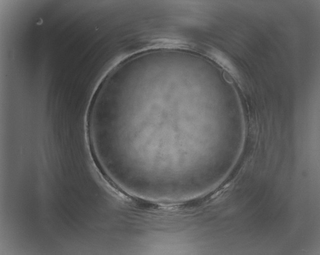 X0000074291283200608251335