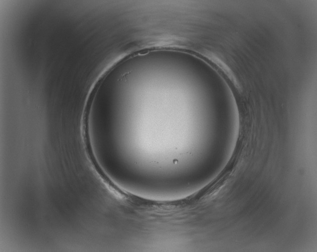 X0000074291285200608251335