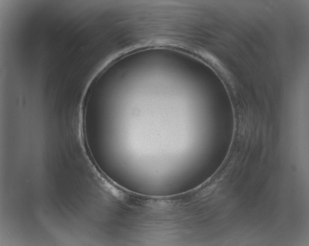 X0000074291286200608251335