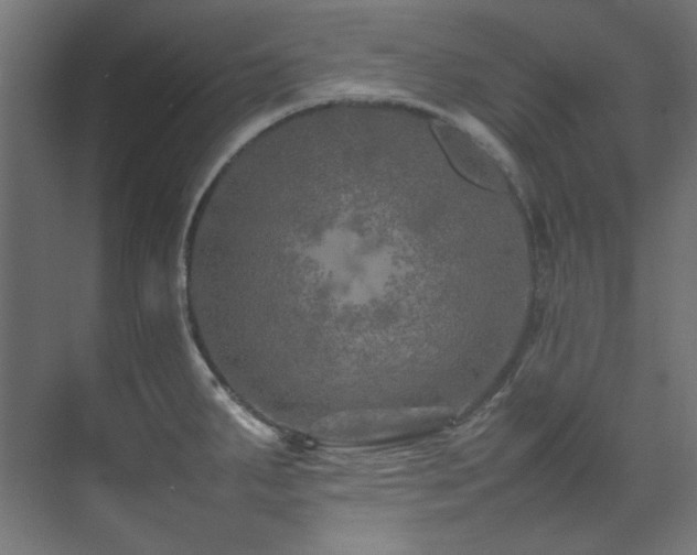 X0000074291287200608251335