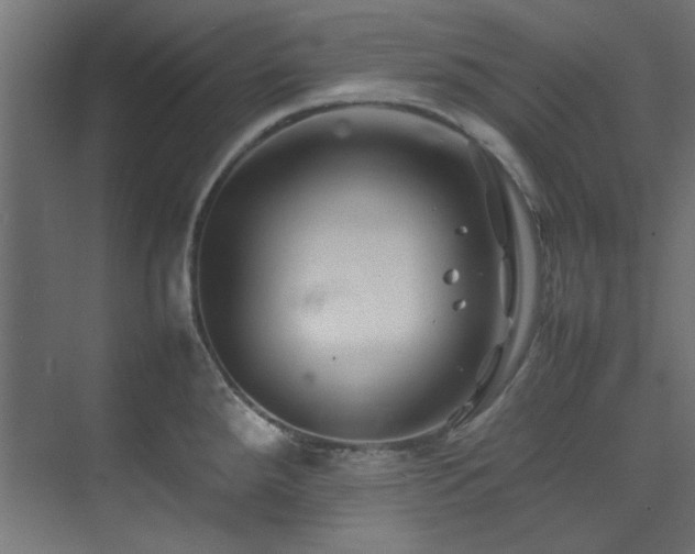 X0000074291288200608251335