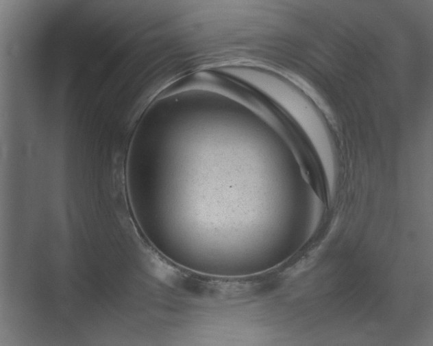 X0000074291289200608251335