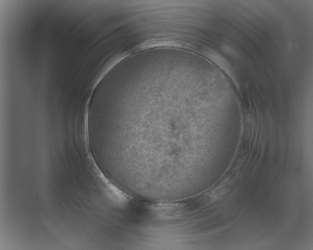 X0000074291290200608251334