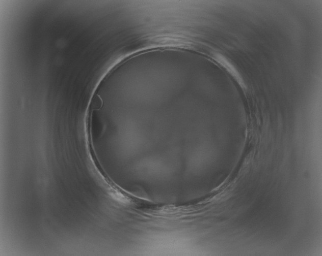 X0000074291291200608251334