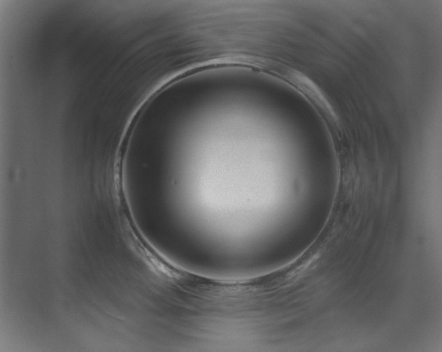 X0000074291292200608251334