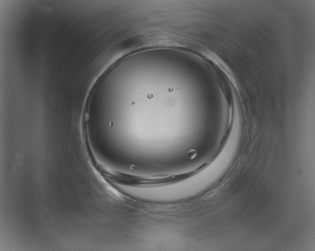 X0000074291293200608251334