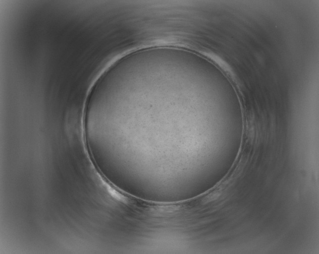 X0000074291294200608251334