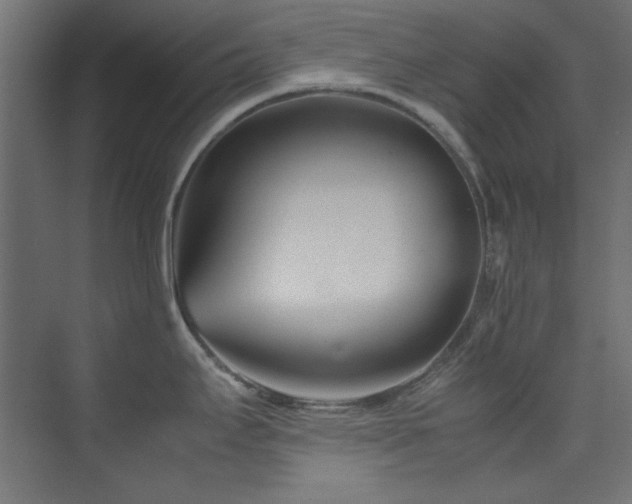 X0000074291295200608251334