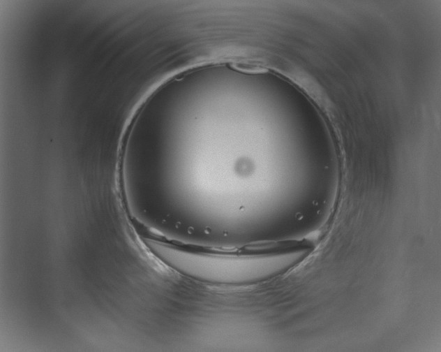 X0000074291296200608251334