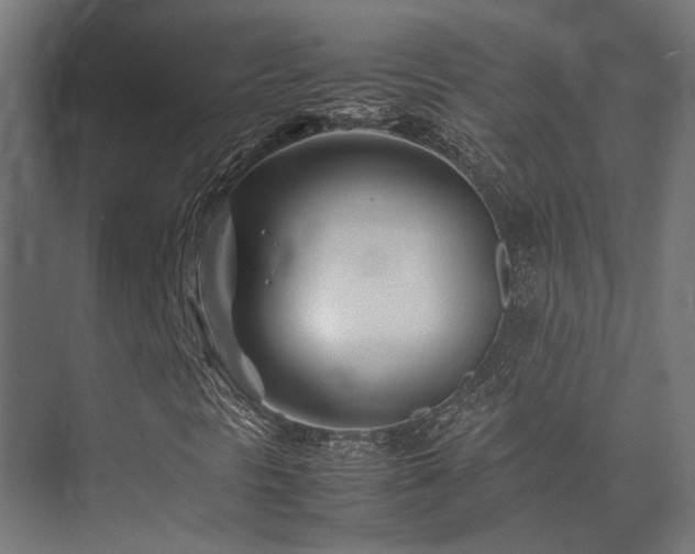 X0000074291297200608251334