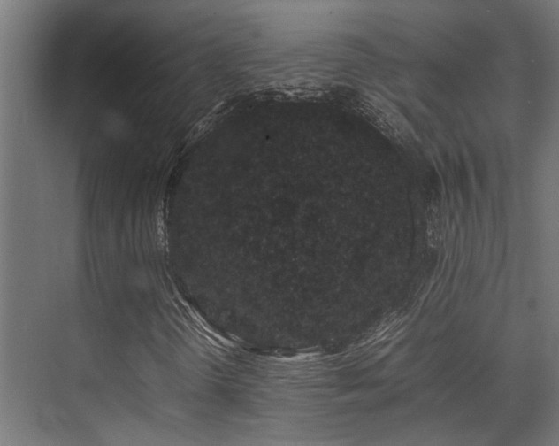 X0000074291298200608251334