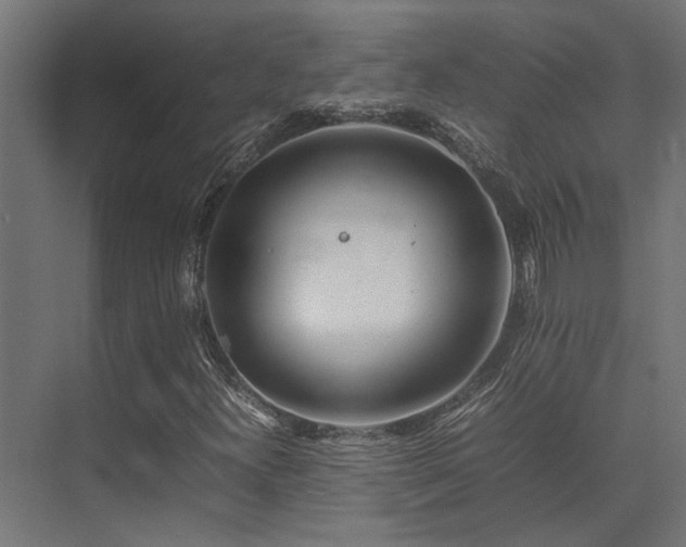 X0000074291300200608251334