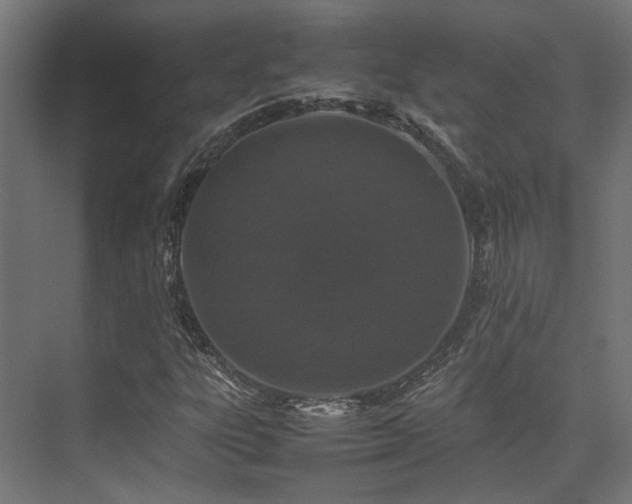 X0000074291303200608251334