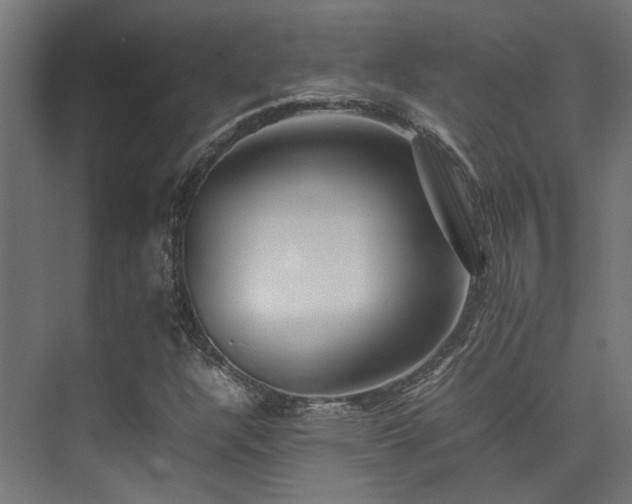 X0000074291304200608251334